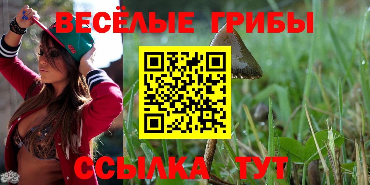 где можно купить наркотик  Вход с VPN  Ангарск  Галлюциногенные грибы Psilocybe  Галлюциногенные грибы Cubensis 